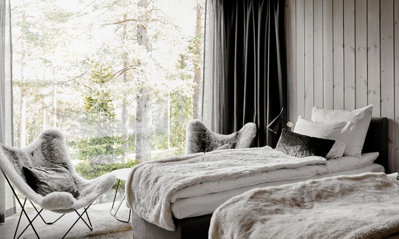 Arctic Treehouse Hotel Sviitti