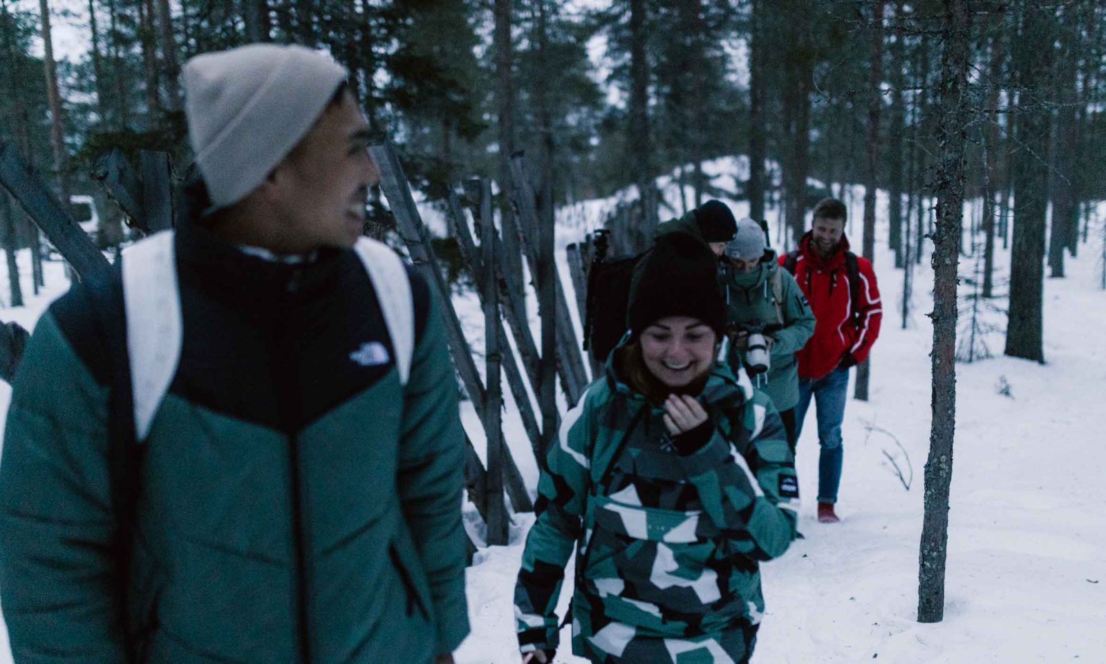 Arctic TreeHouse Hotel extraordinary activities