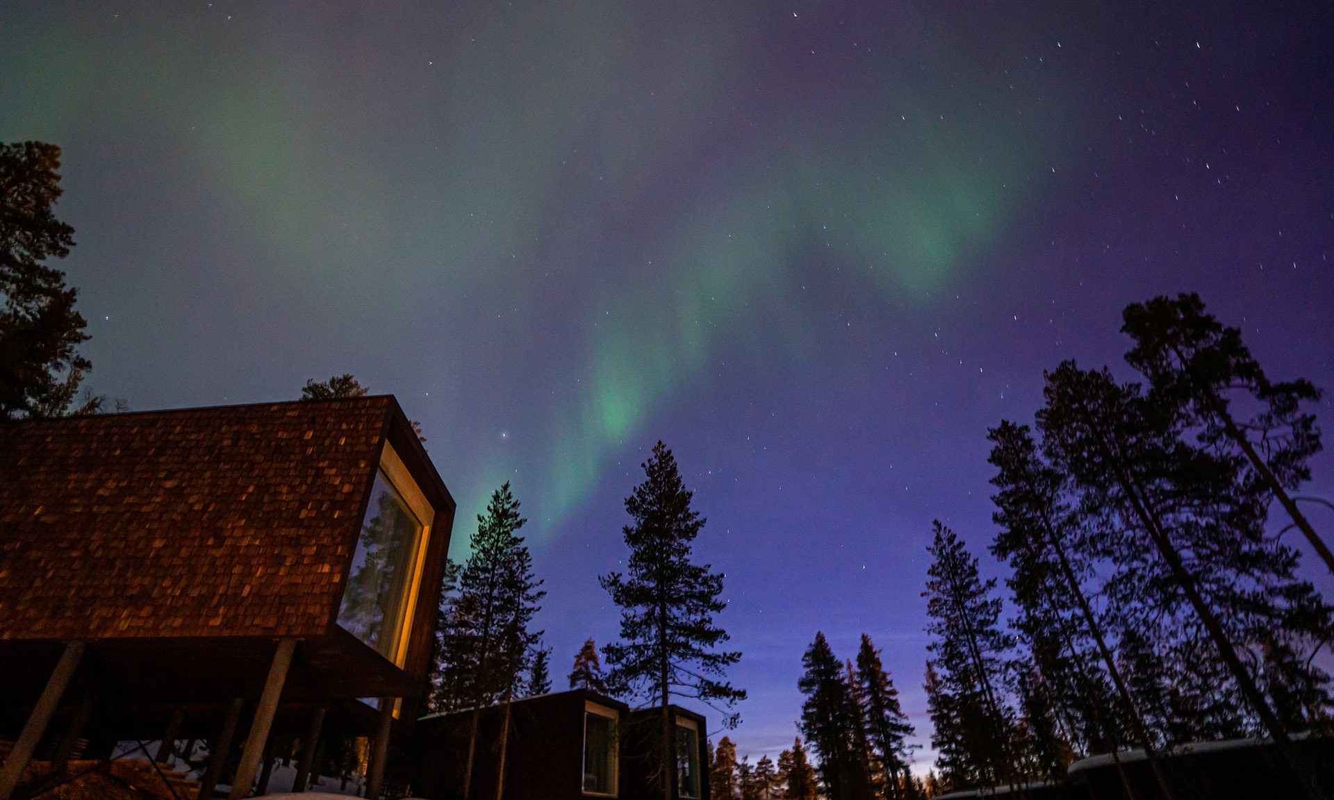 Arctic TreeHouse Hotel yhteystiedot.