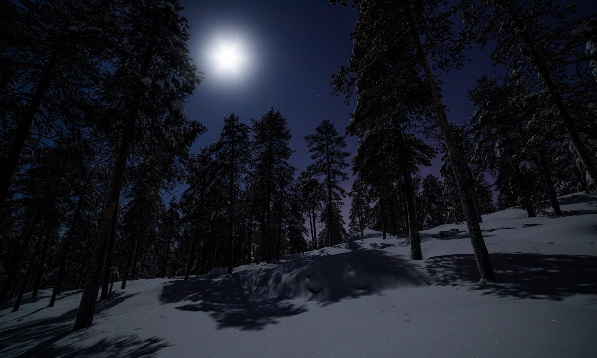 E-snowmobile experience under the Northern Sky by Arctic TreeHouse Experiences. | Rovaniemi, Finland