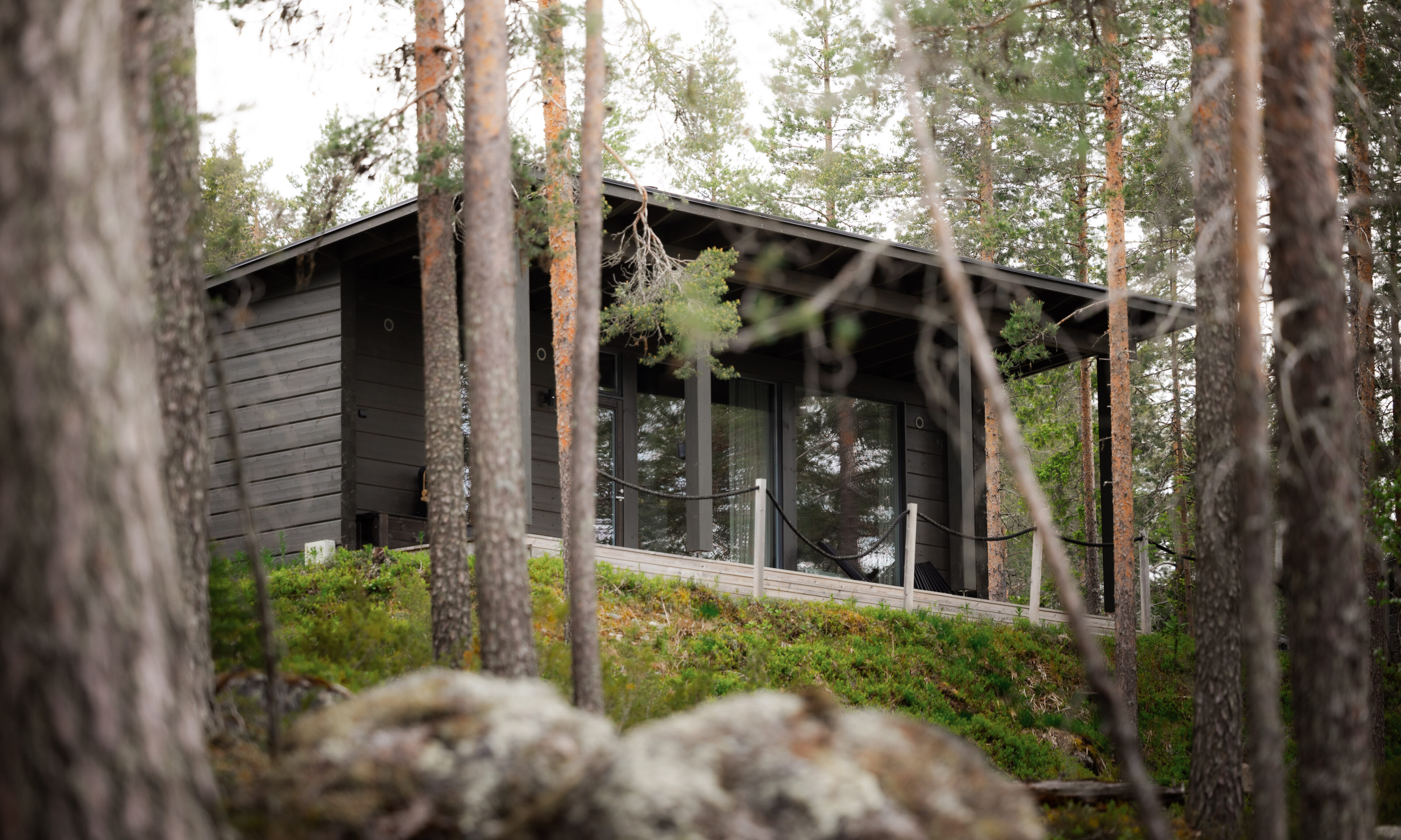 Arctic GlassHouse in the forest.