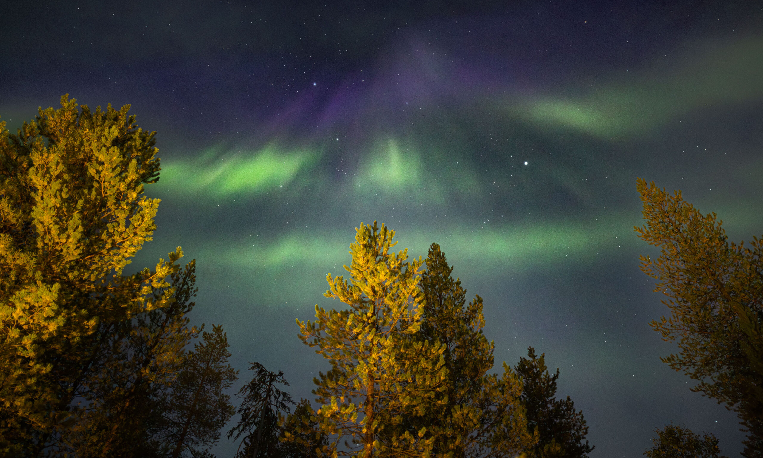 Northern lights dancing in August in Rovaniemi, Lapland.